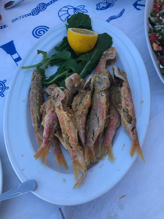 Fotoğraf 23