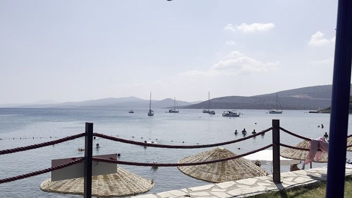 Fotoğraf 17