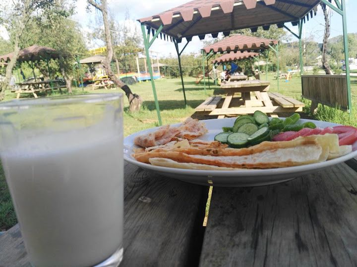 Fotoğraf 48