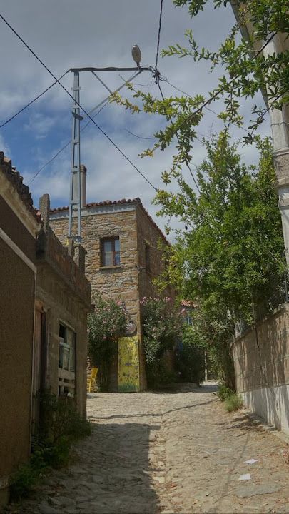 Yorum fotoğrafı 4