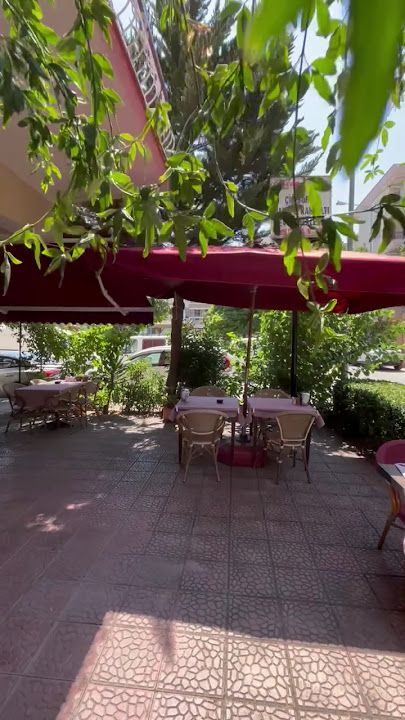 Fotoğraf 31