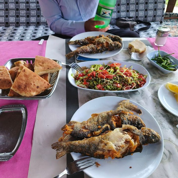 Fotoğraf 14