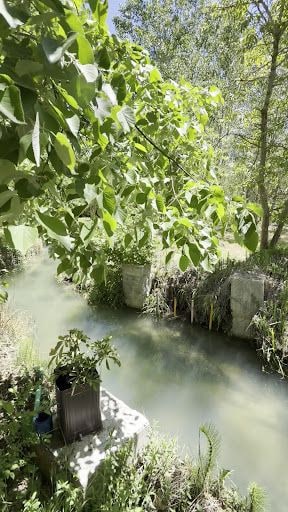 Fotoğraf 18