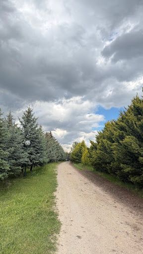 Yorum fotoğrafı 8