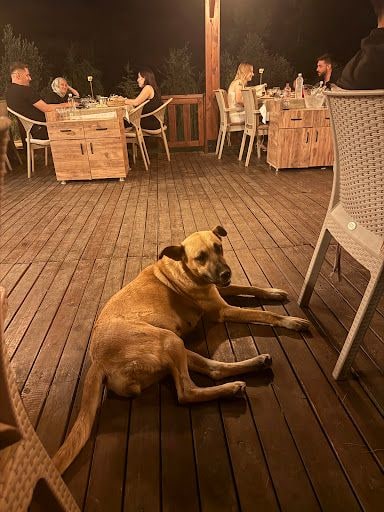 Fotoğraf 25
