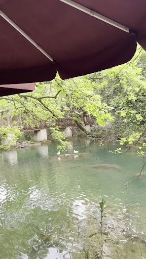 Yorum fotoğrafı 5