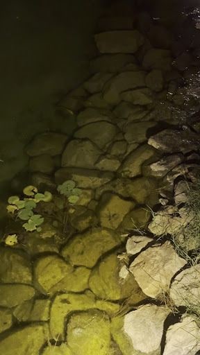 Fotoğraf 26