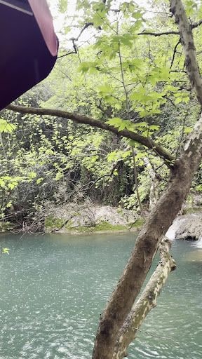 Yorum fotoğrafı 6