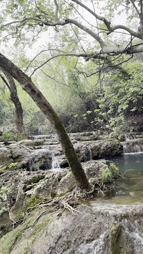 Yorum fotoğrafı 7