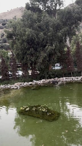 Fotoğraf 28