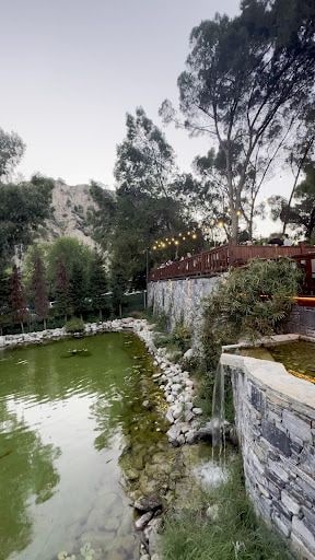 Fotoğraf 29