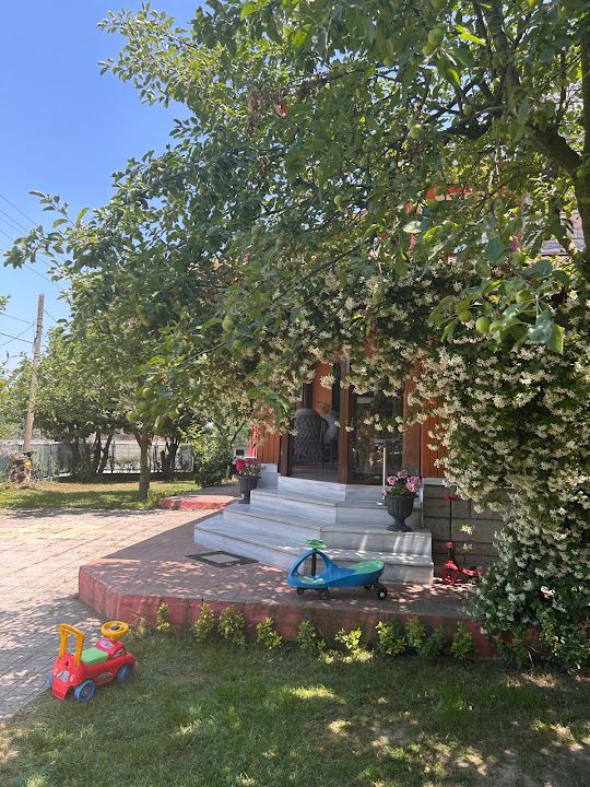 Yorum fotoğrafı 4