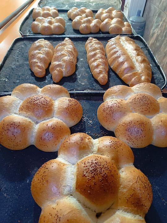Fotoğraf 15