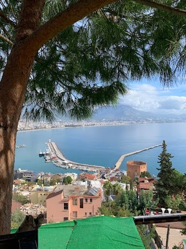 Yorum fotoğrafı 3