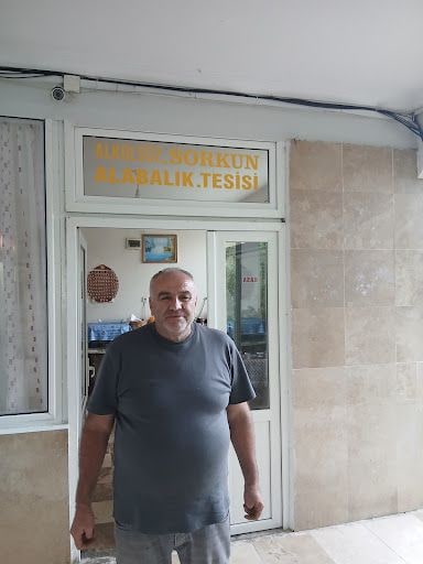 Fotoğraf 12