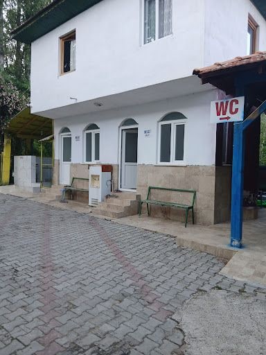 Fotoğraf 13