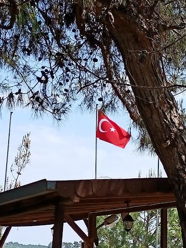 Yorum fotoğrafı 5
