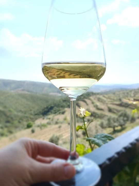 Fotoğraf 41