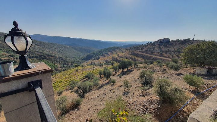 Fotoğraf 56