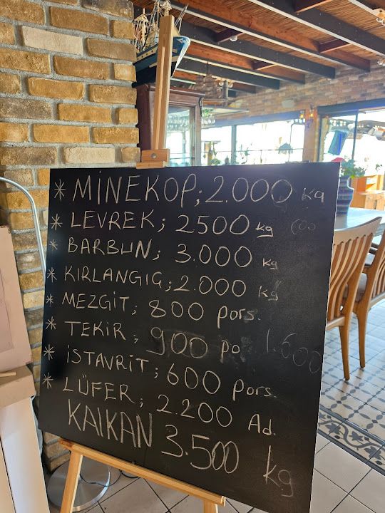 Fotoğraf 23