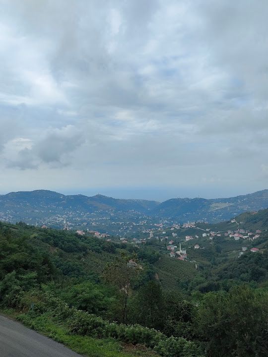 Yorum fotoğrafı 4