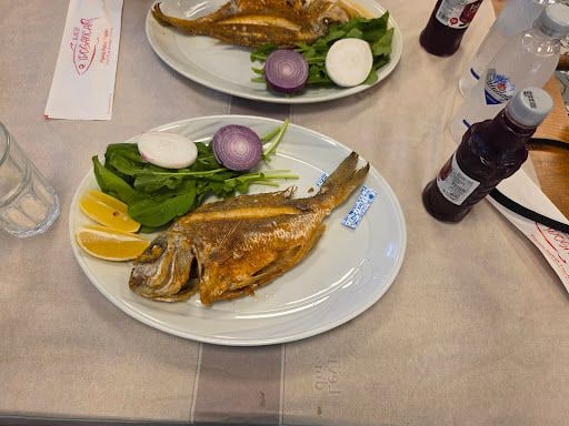 Yorum fotoğrafı 6