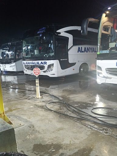 Yorum fotoğrafı 2