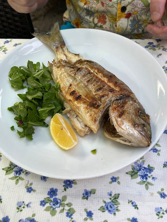 Fotoğraf 19