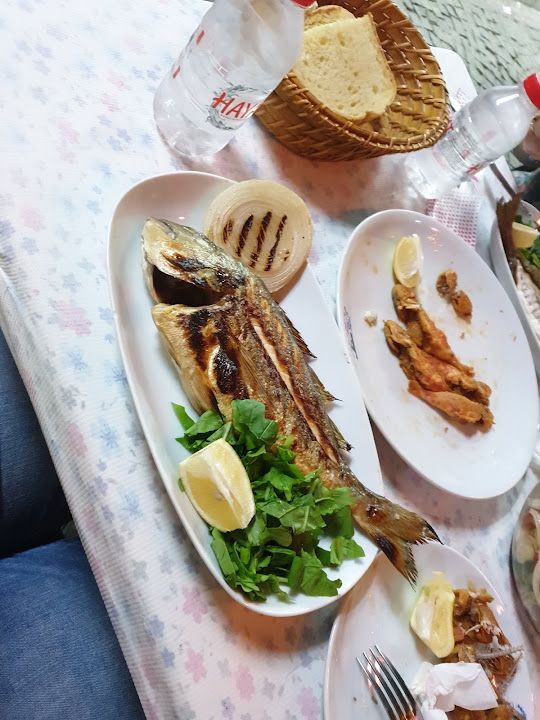 Fotoğraf 21