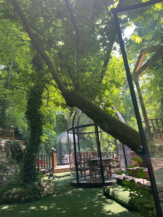 Fotoğraf 13