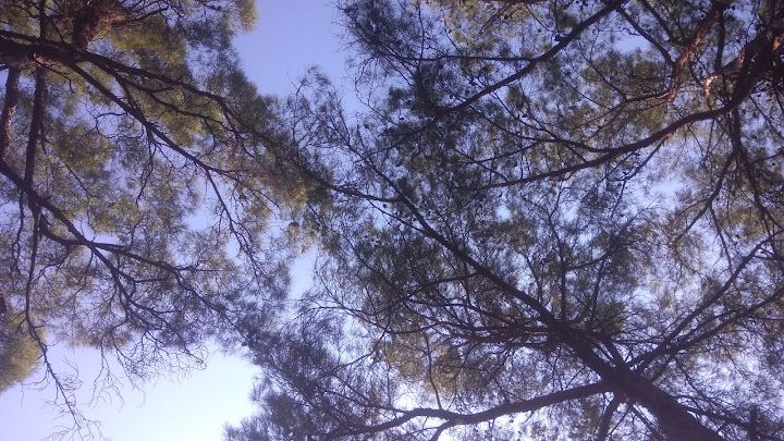Fotoğraf 15