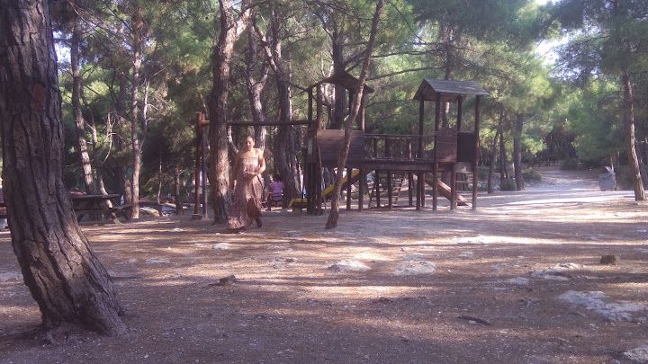 Fotoğraf 14