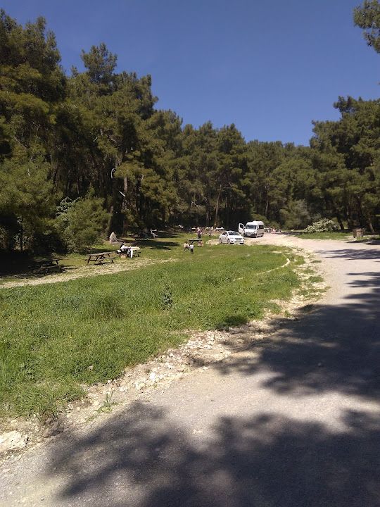 Fotoğraf 19