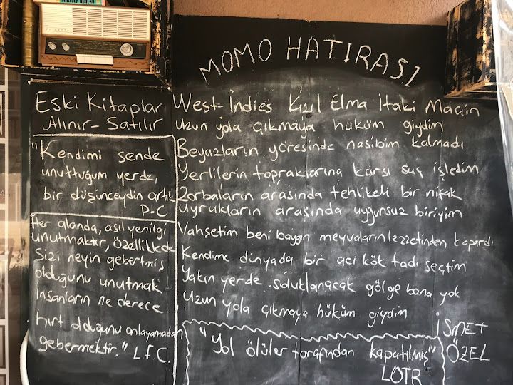 Fotoğraf 17