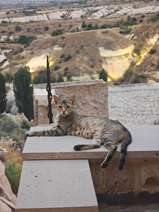 Fotoğraf 55