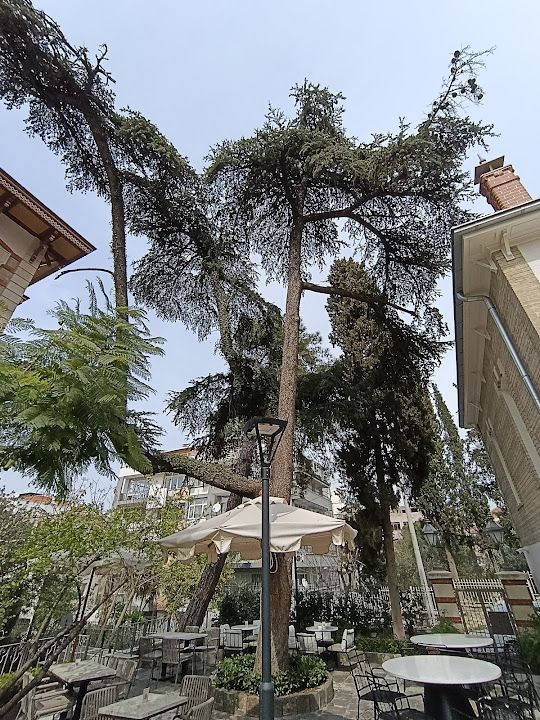 Yorum fotoğrafı 3
