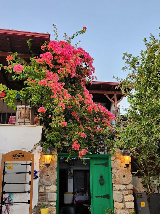 Yorum fotoğrafı 2