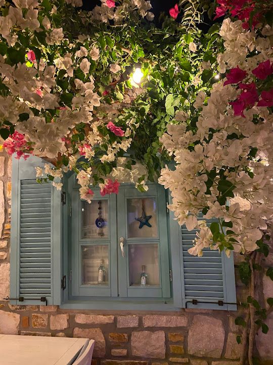 Fotoğraf 49