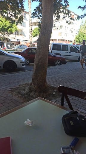 Yorum fotoğrafı 1