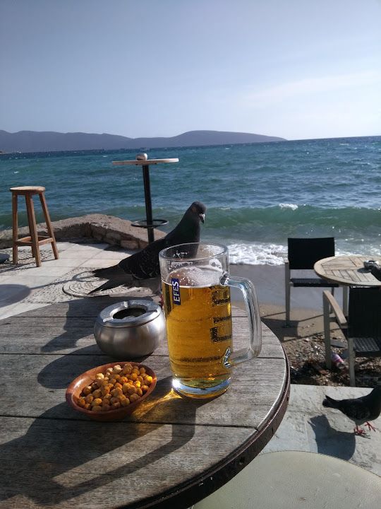 Fotoğraf 23