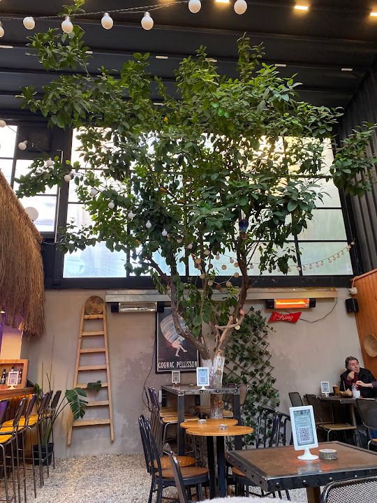 Fotoğraf 20