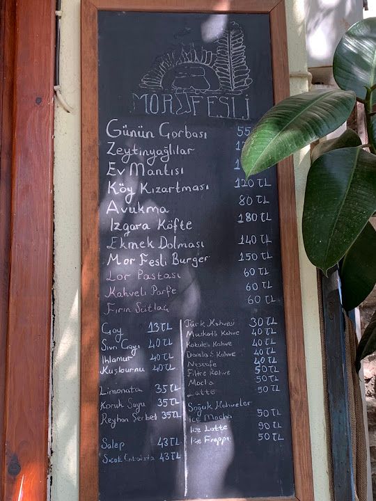 Fotoğraf 39