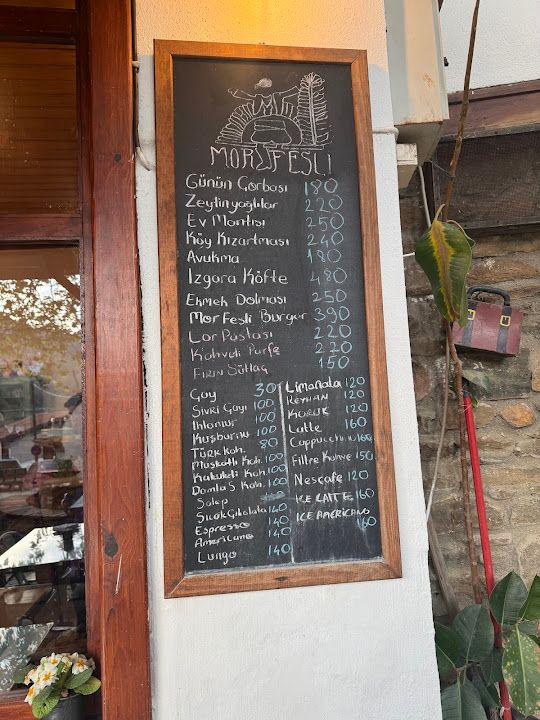 Fotoğraf 33