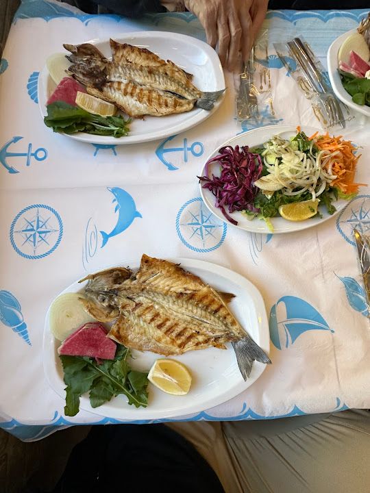 Fotoğraf 15