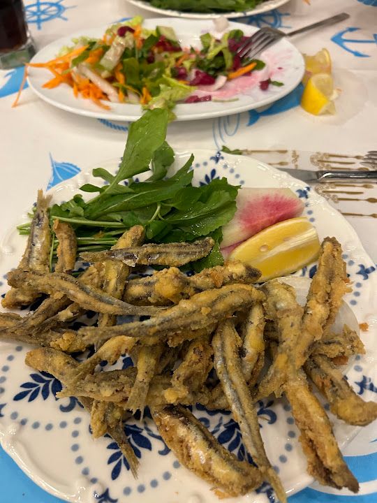 Fotoğraf 14