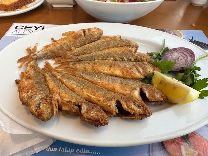 Yorum fotoğrafı 1