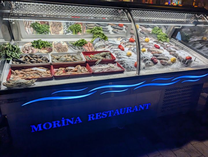 Fotoğraf 28