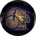 MOTOR TUTKUNU