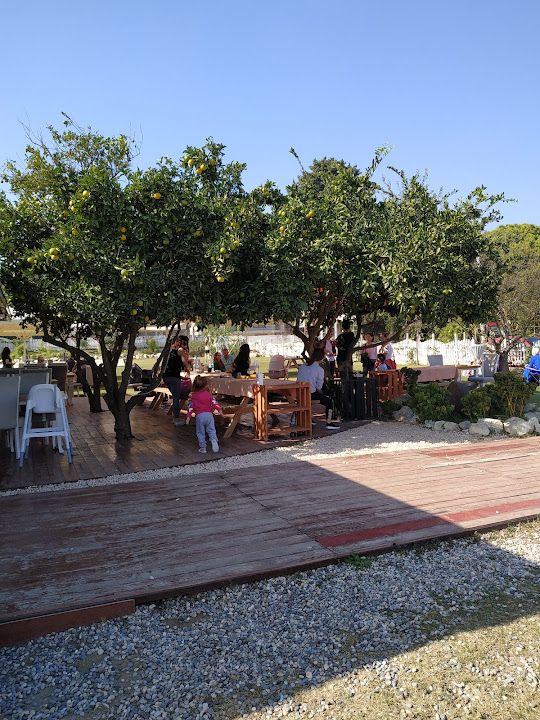 Fotoğraf 53