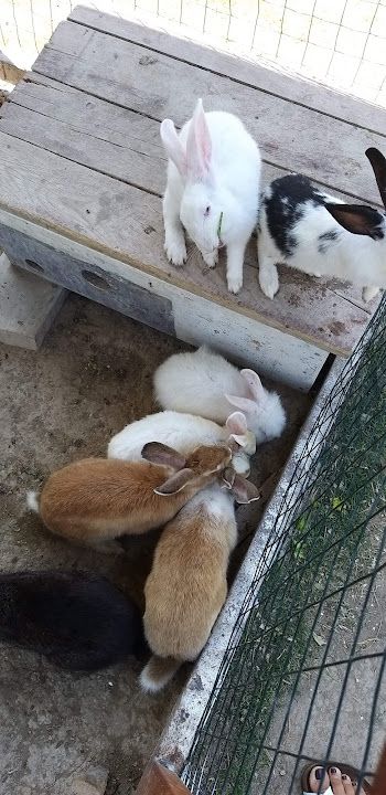 Yorum fotoğrafı 3